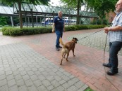 Mit dem Einlaufen des Zugs beginnt für Balu der Einsatz.