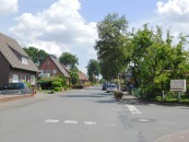 An den Bäumen im Heideweg scheiden sich die Geister.