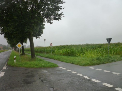 Wird die neue KiTa nicht bis Ende Juli 2016 fertig? Auf dem Grundstück, auf dem sie entstehen soll, wartet der Mais noch auf die Ernte.