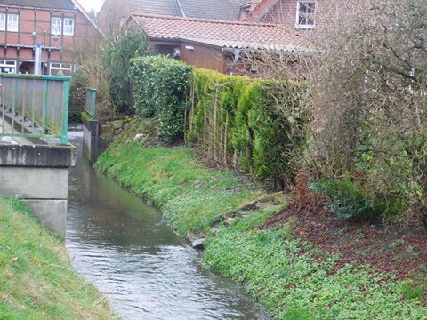 Statt bei Optik Brüggen soll das Wasser an anderer Stelle gedrosselt in den Ankumer Bach geleitet werden.