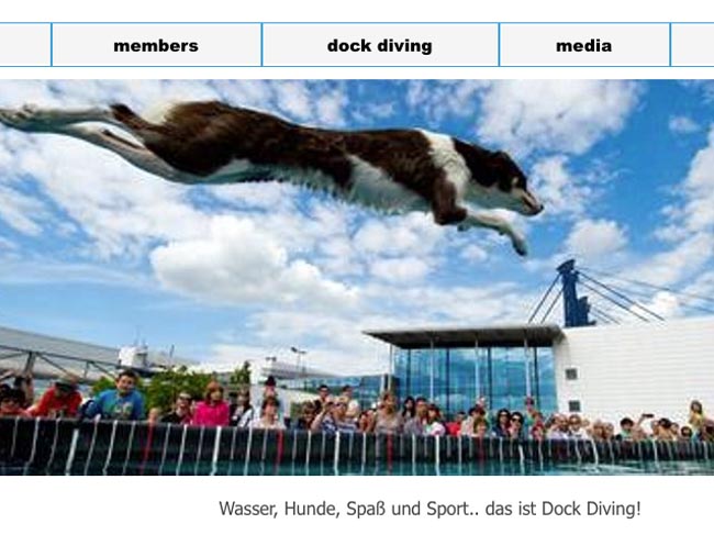 Spingende und tauchende Hunde sind die Atraktion der Show des Dock-Diving-Teams. Screenshot: www.wavesharks.eu
